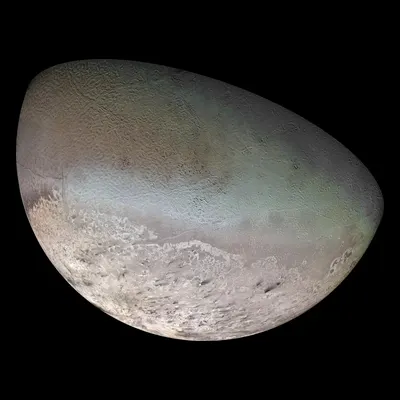 Triton